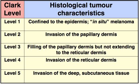 HistoQuarterly: SUPERFICIAL SPREADING MALIGNANT MELANOMA | Histology Blog