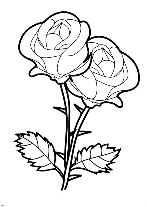 Simple Flower Bouquet Drawing - Flowers Healthy | Rose coloring pages ...