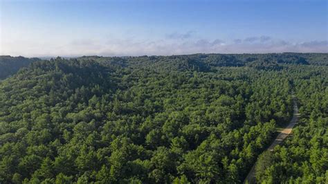 Elk Habitat Conserved, Accessible in Wisconsin | Rocky Mountain Elk Foundation