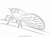 Cicada Stock Coloring Page For Kids  Free Cicadas Printable sketch template