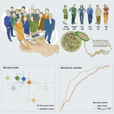 The Gut Microbiota in Prediabetes and Diabetes: A Population-Based Cross-Sectional Study : r ...