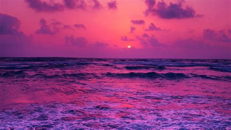 Horizon Pink Sunset Near Sea Wallpaper, HD Nature 4K Wallpapers, Images ...
