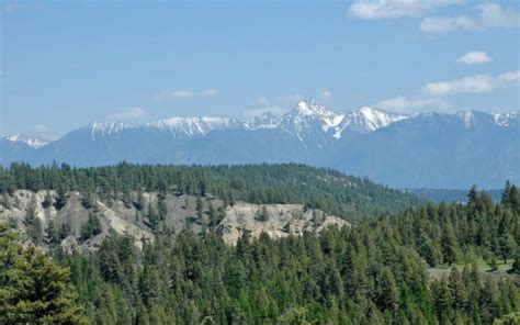 Home - Residences At Shadow Mountain