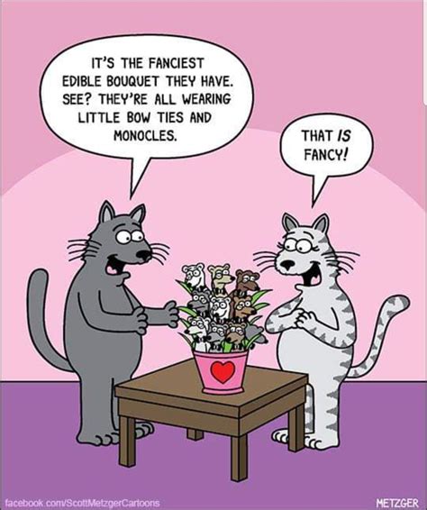 Cat Cartoon Jokes | Freeloljokes