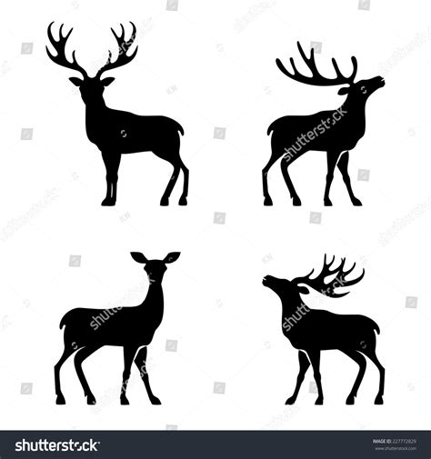 Deer Collection Vector Silhouette Stock Vector (Royalty Free) 227772829 | Shutterstock