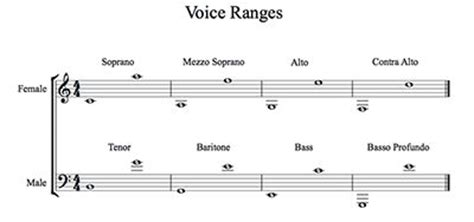 Vocal Range Chart and Corresponding Voice Types | The voice, Voice type ...