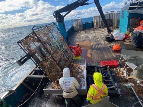 With fishing slowed by pandemic, Bering Sea crabbers push for extended ...