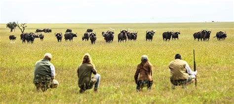 The Best Of East Africa Safari | | Capture Kenya