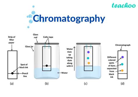 What is Chromatography?: Gas Liquid Chromatography, HPLC - Chemical ...