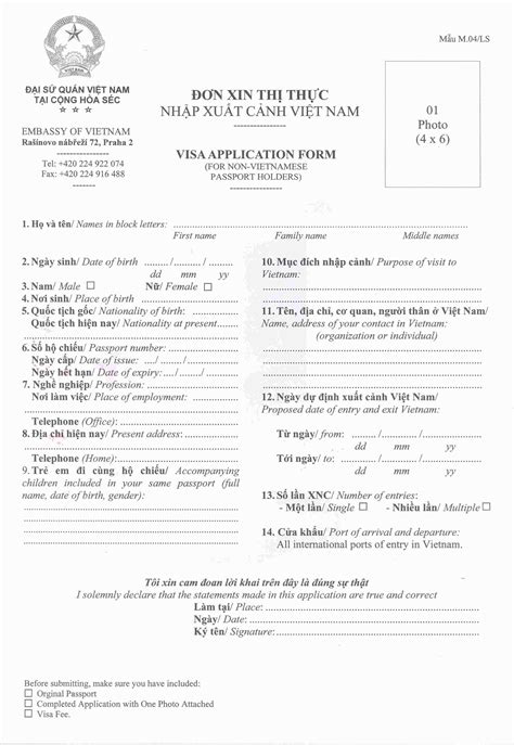 Brazil Visa Application Form Pdf Download - daddysoftis