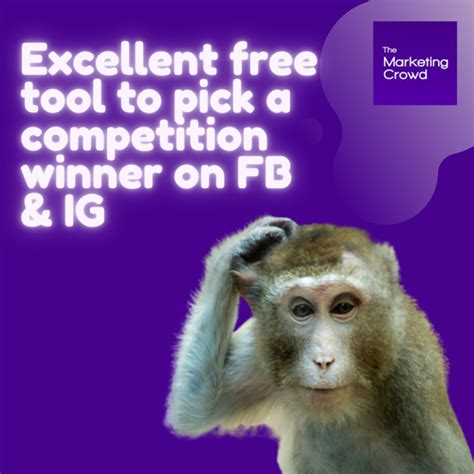 Free tool for picking competition winners on FB & Instagram - The ...