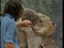 Christian the lion - Full ending - YouTube