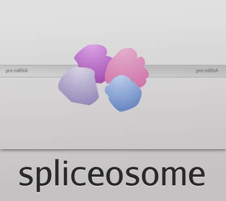 Structure of a human catalytic step I spliceosome - Israel Molecular ...