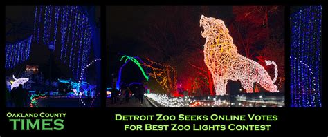 Detroit Zoo Seeks Online Votes for Best Zoo Lights Contest - Oakland County Times