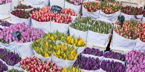 Get Ready For Spring With The Most Stunning Flower Markets Around The World | HuffPost