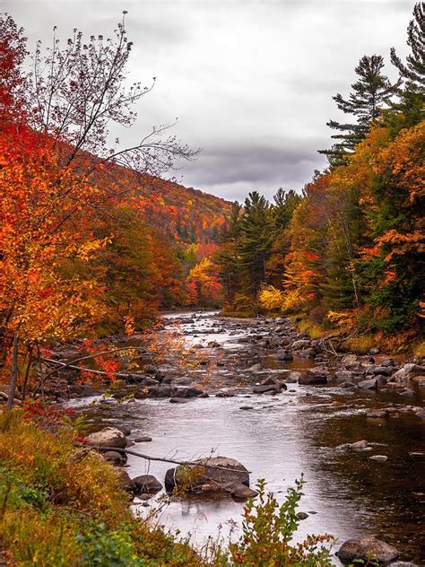 Autumn Brook Photograph by Jim DeLillo - Fine Art America