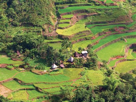 Ifugao | Rice Terraces, Philippines, Indigenous | Britannica