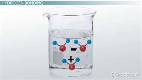 Facts About Water Molecules: Structure & Properties - Video & Lesson ...