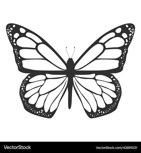 Monarch butterfly silhouette icon high quality Vector Image