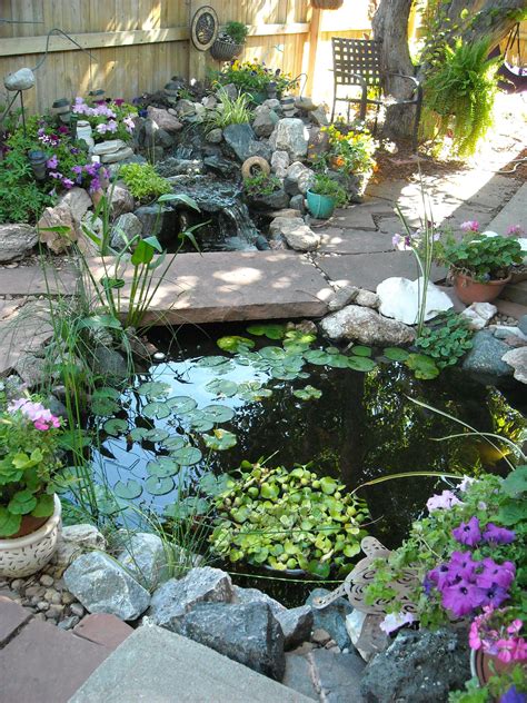 Small Pond Ideas Photos