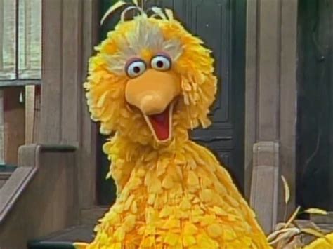 Here's the fascinating story about the actor who has played Big Bird on 'Sesame Street' for 40 ...