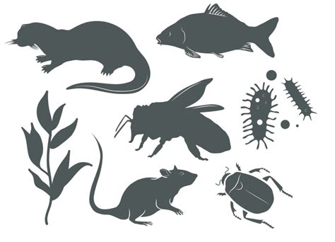 Biological Species ID - SureScreen Scientifics