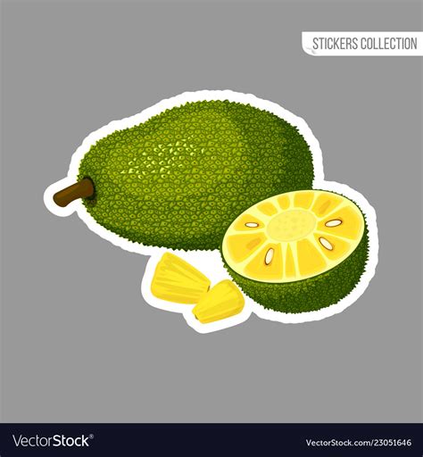 Cartoon fresh jackfruit fruit isolated sticker Vector Image