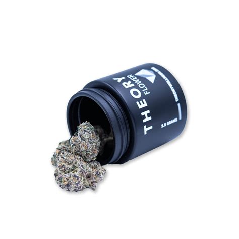 Platinum Garlic Strain | Dispensary | Theory Wellness