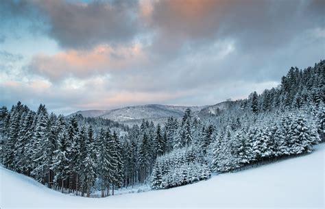 Frozen morning | Black forest, Natural landmarks, Snow