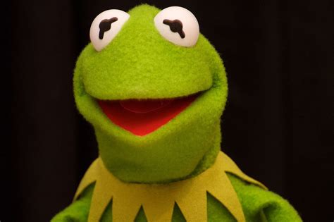 Kermit the Frog Wallpaper - WallpaperSafari