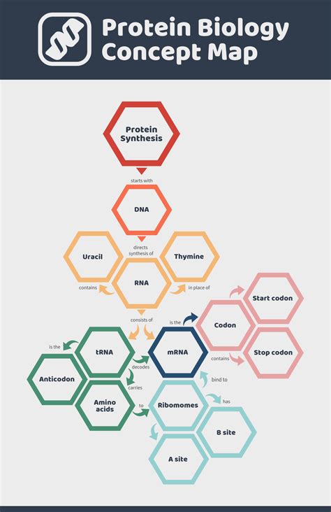 Concept Map Templates To Simplify Complex Ideas - Venngage