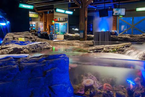 Discover Marine Life at Seattle Aquarium on CityPASS