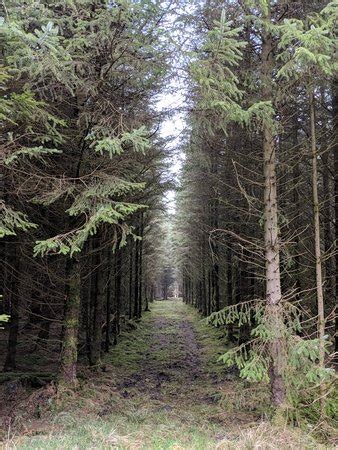 Forest of Bowland Area of Outstanding Natural Beauty (Lancashire ...