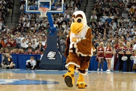 winthrop university mascot - Google Search | Things I Like | Pinterest | An eagle, Search and Eagles