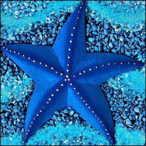 Blue Starfish | Ocean creatures, Starfish species, Beautiful sea creatures