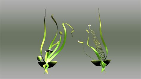 obj vallisneria freshwater aquatic