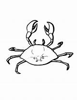 Free Printable Crab Coloring Pages For Kids  Animal Place sketch template