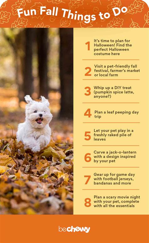 The Ultimate Autumn Pet Parent To-Do List | BeChewy