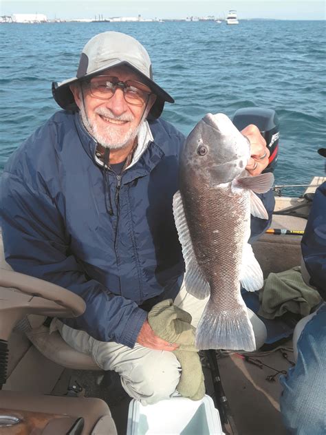 Tautog slow growers, consider releasing big females | Warwick Beacon