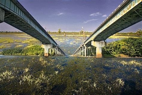 Atchafalaya Basin and Its Bridge | Explore the Natural Wonder