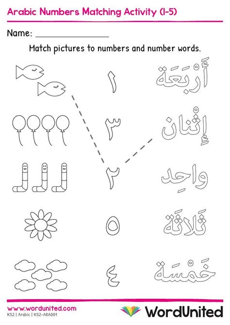 Reinforce learning numbers 1-5 in Arabic! Children can match the ...