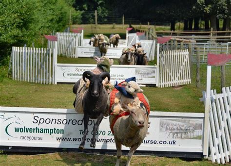 Hoo Farm Animal Kingdom - Shropshire Tourism & Leisure Guide