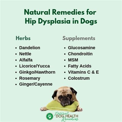 Home Remedies For Hip Dysplasia In Dogs - dopi