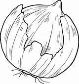 Onion coloring page  ColouringPages sketch template