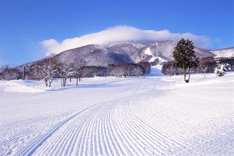 Myoko Kogen Ski Resorts - SNOW MONKEY RESORTS