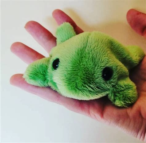 Baby Bean Frog. Cute Soft Fluffy Frog Filled With Plastic Pellets ...