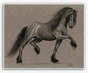 Friesian Horse Art For Sale : Friesian Paintings by Rohde