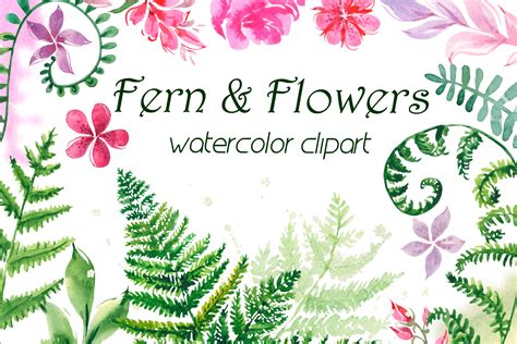 Watercolor Fern png Clip art Bundle | Greenery png clipart. By ...