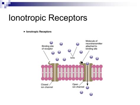 Ionotropic Receptors