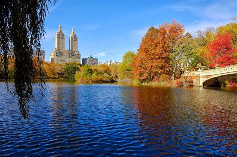 Thoughts From My Camera: Central Park Fall Colors